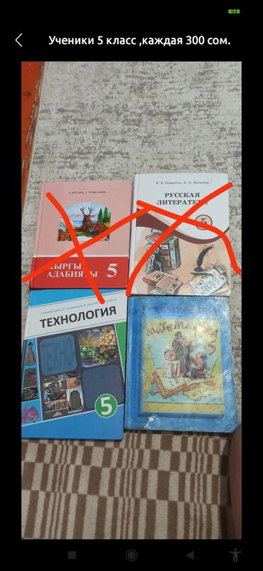 кыргыз тили 1: Кыргызская литература, 5 класс, Новый, Самовывоз, Бесплатная доставка
