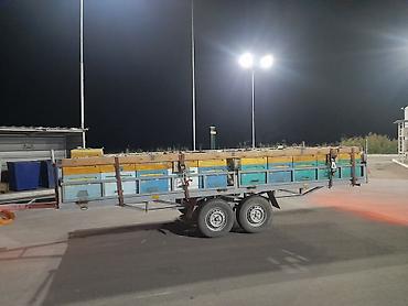 Товары и оборудование для с/х животных: Предлагаются ульи Дадан и 6-рамочники для пчеловодства. Ульи Дадан — 15