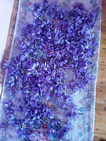 Соусы и специи: Safran (Crocus sativus) çiçəkləri və dişicikləri - Təsvir: Şəffaf — 3