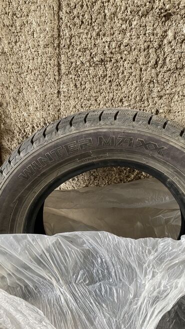 купить шины 195 65 r15 лето: Шины 195 / 65 / R 15, Зима, Комплект, Dunlop