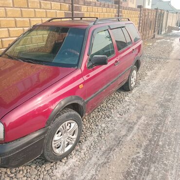 Volkswagen: Volkswagen Golf: 1993 г., 1.8 л, Механика, Бензин, Универсал