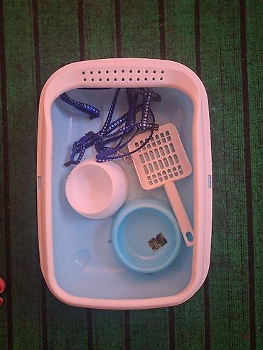 Животные: Pişik üçün əsas aksesuarlar dəsti - Plastik pişik tualeti (yuvarlaq — 1