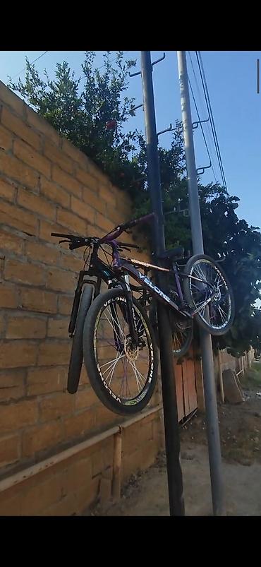 böyük velosiped: ❗TƏCİLİ OLDUĞU ÜÇÜN QİYMƏT BUDU ❗AXIRA QƏDƏR OXU Veloda yalnız problem — 2