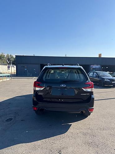 бензанасос форестер: Subaru Forester: 2021 г., 2.5 л, Автомат, Бензин, Кроссовер — 2