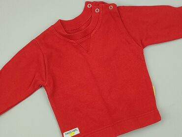 koszulka polo allegro: Sweatshirt, 1-3 months, condition - Very good