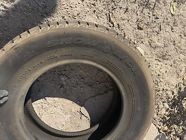 шины 215 70 r15: Зимняя шина Triangle Snow Lion - Размер: 215/70 R15 100Q - Сезон — 5