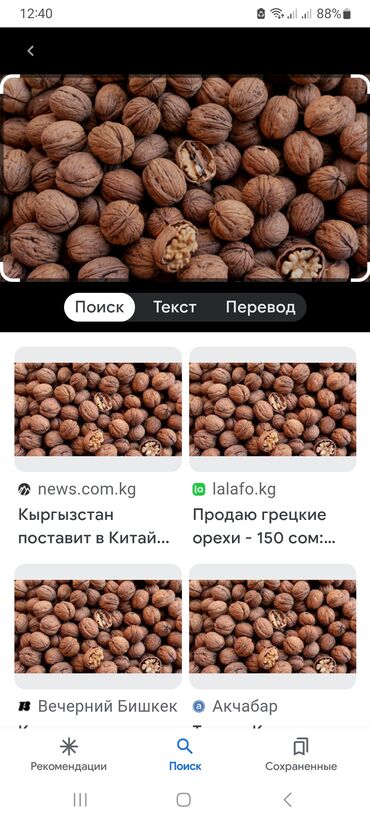 саженцы орехов: Сухофрукты, орехи, снеки