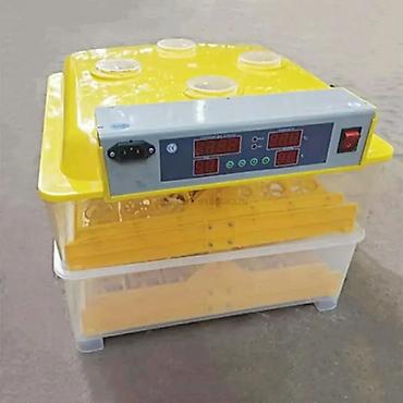 Kənd təssərüfatı avadanlığı: Inkubatorlarin birinci əl satişi unversal inkubator inkubator 196 — 2