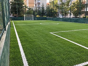 искуственное: Для декора, Новый, цвет - Зеленый, Гарантия — 8