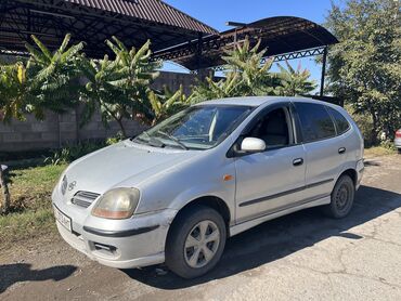 Nissan: Nissan Almera Tino: 2001 г., 1.8 л, Механика, Газ, Хэтчбэк