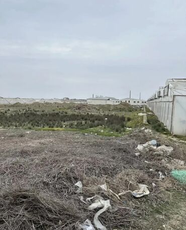 Kommersiya daşınmaz əmlakının satışı: Tecili obyekt satilir!!! Zire Qesebesi, Qishlaqda 2 hektar 20 sot ve — 9