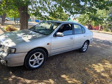 машина в кредит без первоначального взноса бишкек: Nissan Primera: 1997 г., 2 л, Механика, Газ, Хетчбек