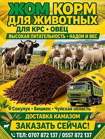 шкворень: Жом жом жом — 7