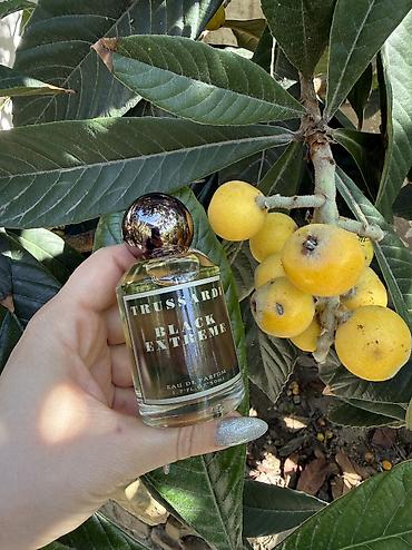 Ətriyyat: Yüksek keyfiyetde parfumlar — 2
