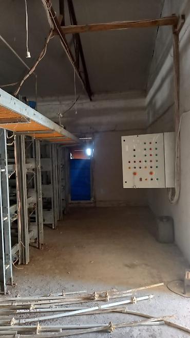 perforator satilir: Salam. Yumurtaliq toyuq avadaliği satilir 1defe istiyade olunub tam — 5