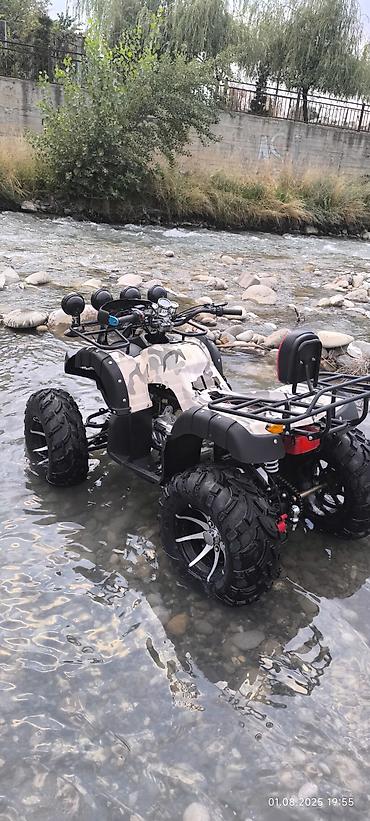 Квадроциклы: Квадроцикл ATV (двухместный), внедорожный. Основные характеристики и — 15