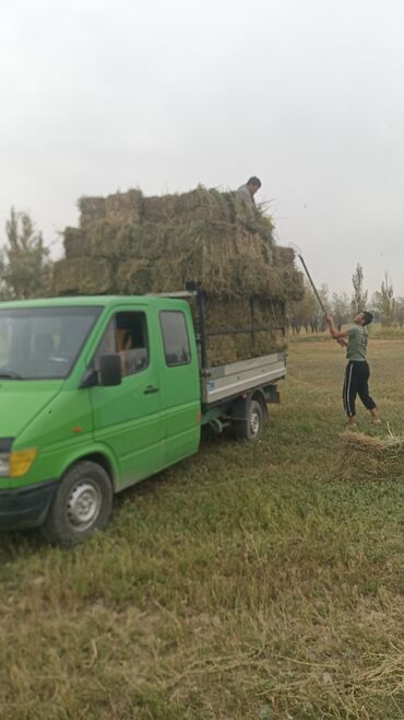 авто форд фокус: Мерс сатылат,
тд 1997 ж,
борт Макси 3,40