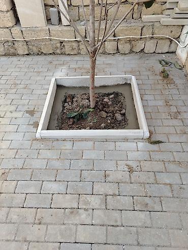 pol yonan usta: Tamet (bardür və səki daşı) döşəmə xidməti - Həyətyanı sahə, qaraj — 6
