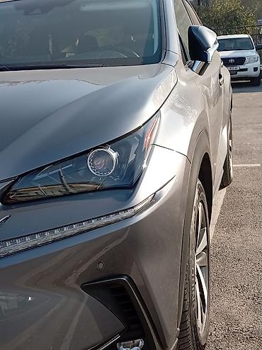 rx 450h: Lexus NX: 2020 г., 2.5 л, Вариатор, Гибрид, Кроссовер — 3