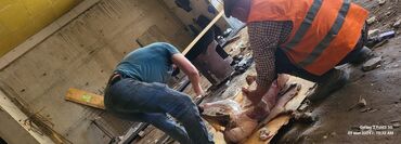 Бетонные работы: Опалубки, Фундамент, Стяжка Бесплатная консультация Больше 6 лет опыта — 29