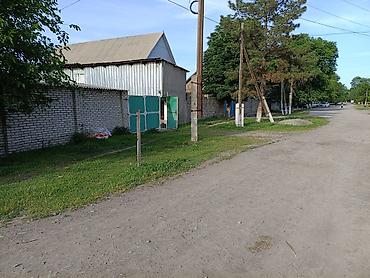 Продажа коттеджей и домов: Дом с хозяйственным двором - Планировка: прихожая, кухня — 5