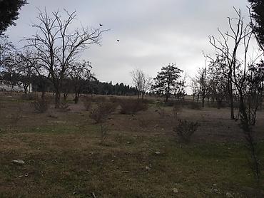 bakı ümid qəsəbəsi: 34 sot, Biznes üçün, Mülkiyyətçi, Kupça (Çıxarış) — 4