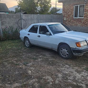 Продажа авто: Mercedes-Benz W124: 1993 г., 3 л, Механика, Дизель, Седан — 2