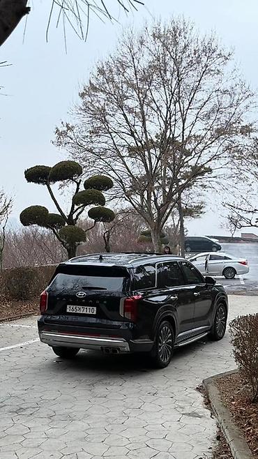 Hyundai: Hyundai Palisade: 2022 г., 2.2 л, Автомат, Дизель, Кроссовер — 3