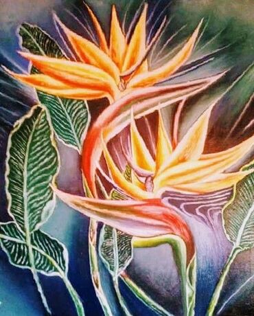 Slike i ramovi: Slika, Novo — 3