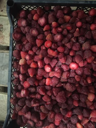 Замороженные фрукты, ягоды: Замороженные фрукты, ягоды — 11