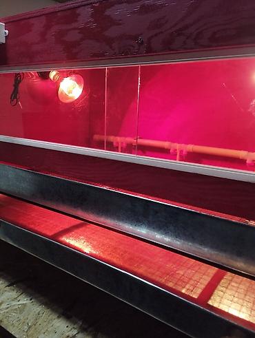 Товары и оборудование для с/х животных: Продаю брудер для выращивания цыплят полный комплект сделан из фанеры — 2