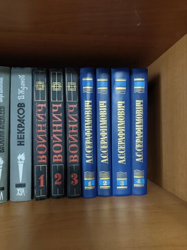 адабият 10 класс книга: Классика, Орус тилинде, Колдонулган, Өзү алып кетүү