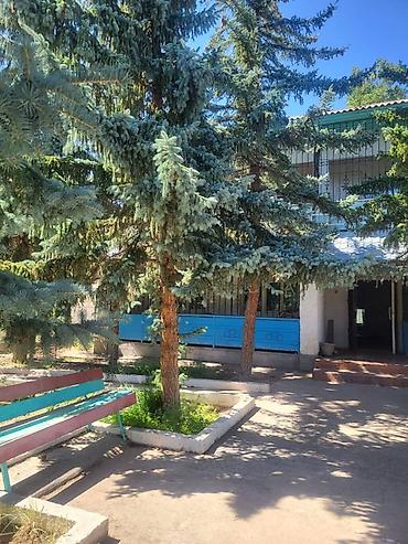 Гостевые дома на Иссык-Куле: Гостевой дом на Иссык-Куле, Солнышко, Чок-Тал, 6 мест, На неделю — 3