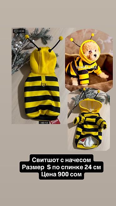 Зоотовары: Одежда для кошек и собак. Все НОВОЕ РАЗМЕР И ЦЕНА УКАЗАНЫ НА ФОТО — 28