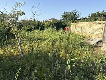 şirvanda torpaq satışı: 8 sot, Tikinti, Kupça (Çıxarış) — 2