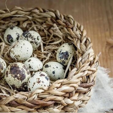 Zdrava hrana: U stalnoj ponudi uvek sveža i lekovita jaja japanskih prepelica. Cena — 14
