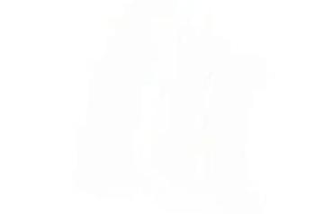 Tuning oprema: M Performance ukrasne letvice za BMW “bubrege” (set 3 kom) - — 8