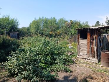 Продажа домов: Дом, 60 м², 5 комнат, Собственник, Косметический ремонт at lalafo.kg — 10 Продажа домов: Дом, 60 м², 5 комнат, Собственник, Косметический ремонт — 10