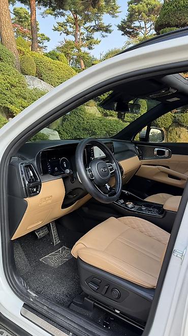 мотор морнинг: Kia Sorento: 2020 г., 1.6 л, Автомат, Гибрид, Кроссовер — 9