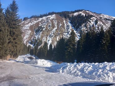 Трансфер, пассажирские перевозки: По региону, Аэропорт, По городу Такси, легковое авто | 4 мест — 24