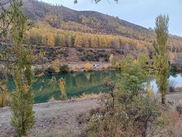 отдых ысык ата: СРОЧНО!СРОЧНО!НУЖНА ОТДЕЛЬНАЯ КОМНАТА ИЛИ МОЖНО КОМНАТУ