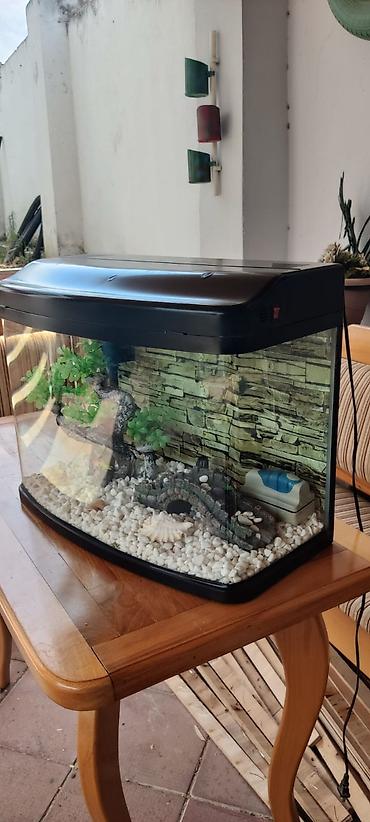 akvarium az: Boş, 60 l, Ünvandan götürmə — 3