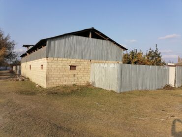 Torpaq sahələrinin satışı: 10 sot, Kənd təsərrüfatı, Mülkiyyətçi, Kupça (Çıxarış)