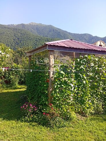 Günlük kirayə evlər: 40 kv. m, 2 otaqlı, Kombi, İnternet, Telefon -da lalafo.az — 10 Günlük kirayə evlər: 40 kv. m, 2 otaqlı, Kombi, İnternet, Telefon — 10