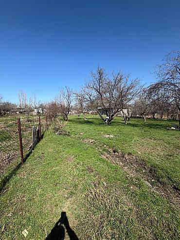 Продажа участков: 15 соток at lalafo.kg — 3 Продажа участков: 15 соток — 3