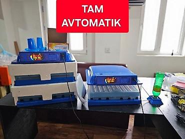 İnkubatorlar: 50 yumurta, Tam avtomat — 1