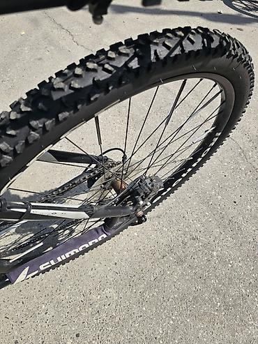 velosiped boyuk: Birinci böyük velosiped 29dur. Amerika brendidir. Alışı 2500Azn olub — 4