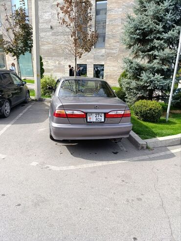 tayota runx: Honda Accord: 2002 г., 2 л, Автоматические, Бензин, Седан