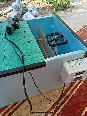 Kənd təssərüfatı avadanlığı: Yumurta inkubatoru - Elektron termostat və rəqəmsal temperatur — 1