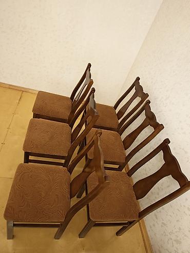 kamp stol: Mətbəx üçün, Yeni, Qatlanmayan, Stul — 3